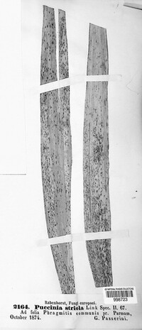 Image Associated With the Occurence